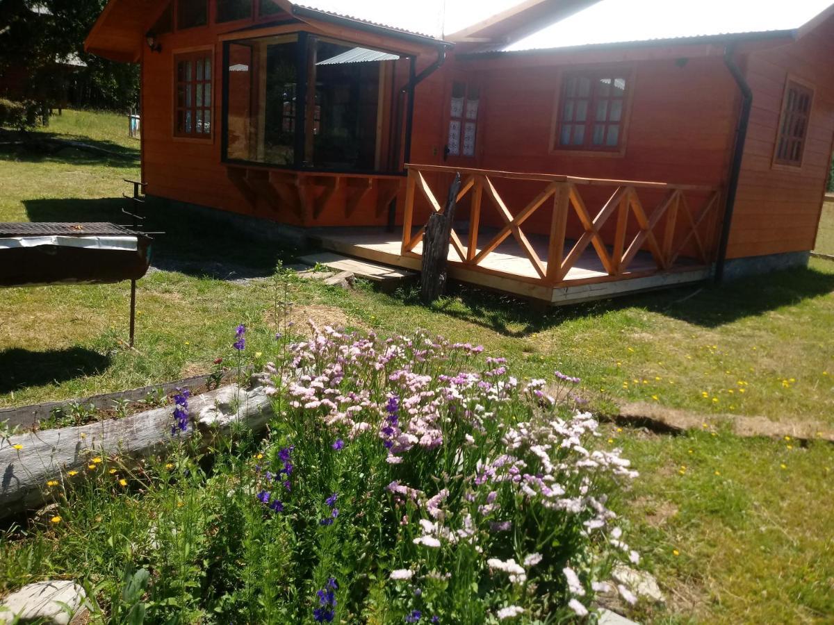 Cabanas Los Canelos Hermosa Granja En Pucón Exteriör bild