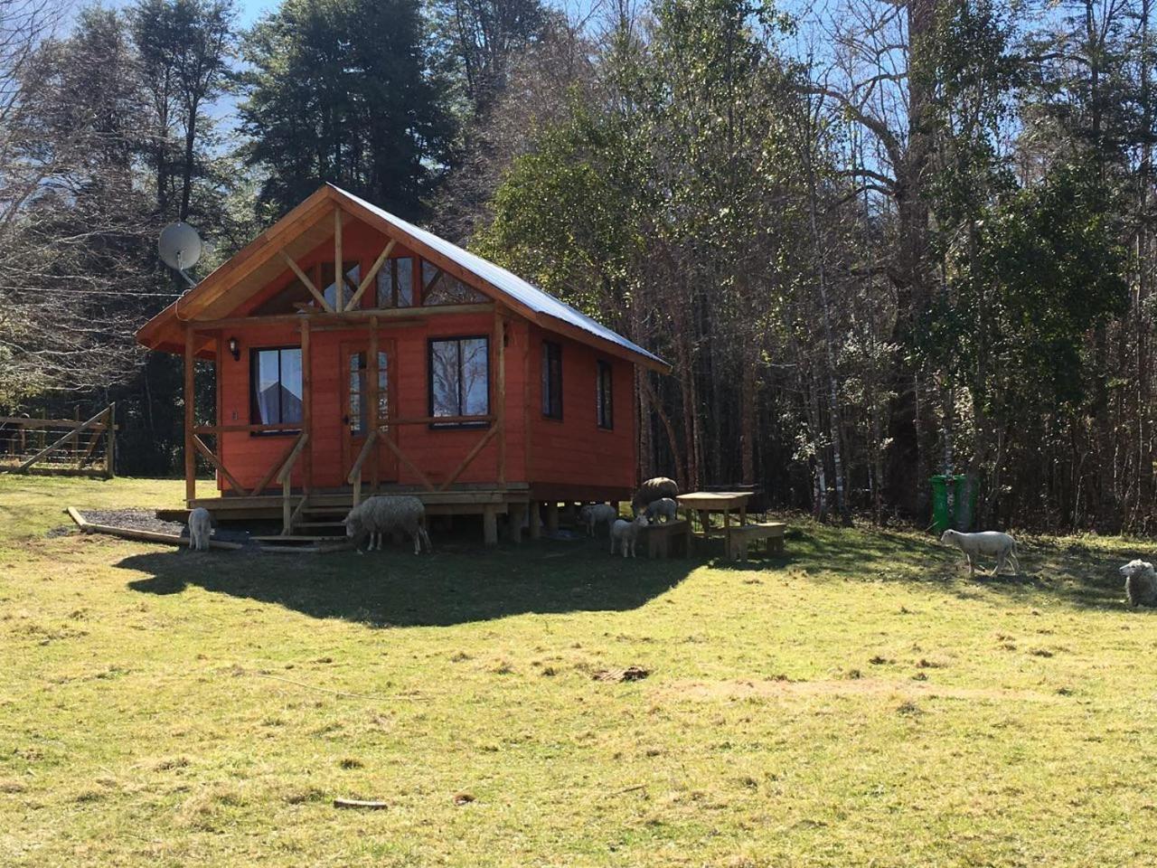 Cabanas Los Canelos Hermosa Granja En Pucón Exteriör bild